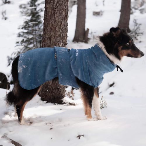 dog bathrobe